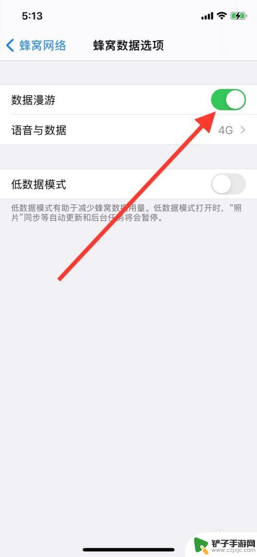 换手机后如何打开数据漫游 苹果手机如何开启数据漫游功能