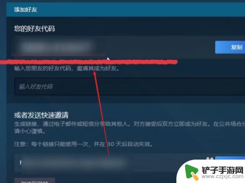 怎么看steam好友吗 怎么在steam中查看自己的好友码