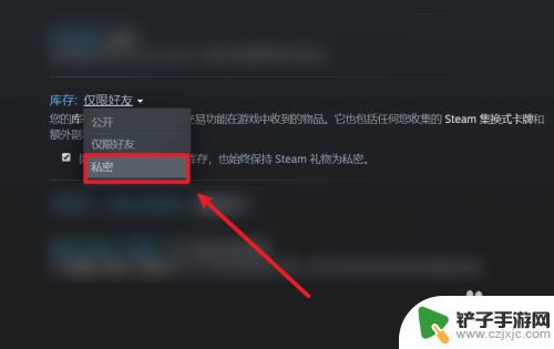 steam关库存 如何在Steam上设置不公开库存游戏