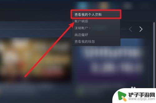 steam关库存 如何在Steam上设置不公开库存游戏