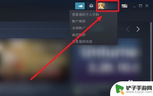 steam关库存 如何在Steam上设置不公开库存游戏