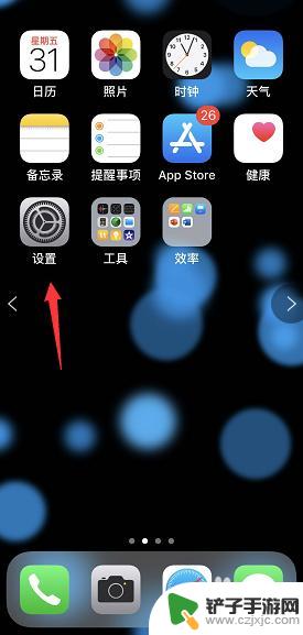 苹果怎么查手机生产日期 如何准确查看 iPhone 的生产日期