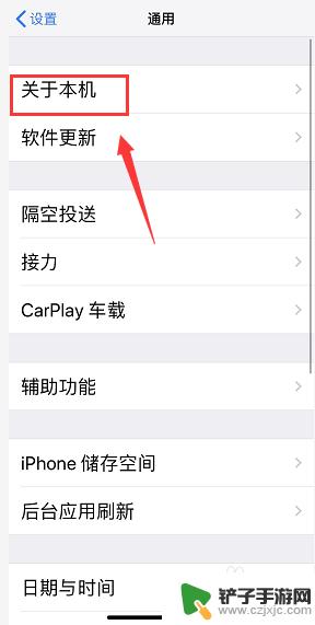 苹果怎么查手机生产日期 如何准确查看 iPhone 的生产日期