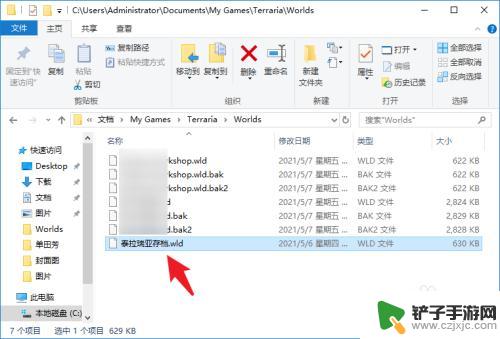 泰拉瑞亚存档怎么导入本地pc 泰拉瑞亚steam版存档如何导入