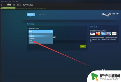 steam怎么给钱买要钱游戏 Steam平台付费游戏的购买方法