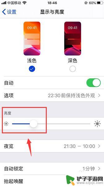 手机如何固定屏幕亮度不变 苹果手机亮度怎么锁定