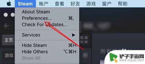 mac上steam游戏怎么云同步 Mac Steam云同步设置方法