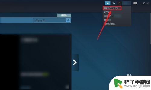 steam设置隐私在哪 如何在Steam上设置隐私保护