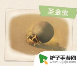 原神沙漠的鸟叫什么 原神3.1沙漠生物介绍及特点