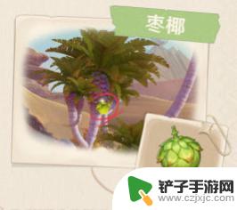 原神沙漠的鸟叫什么 原神3.1沙漠生物介绍及特点