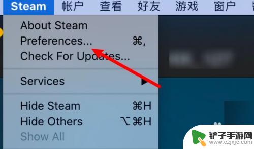 steam怎么改库样式 Steam库界面显示大图标设置教程