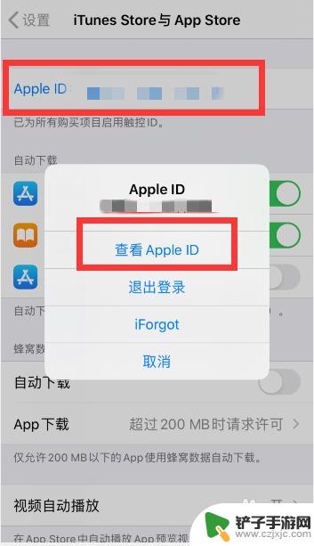 苹果手机绑定了付费app怎么取消 苹果手机App store取消绑定支付方式步骤