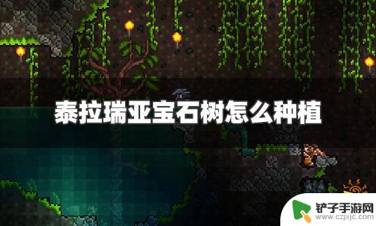 泰拉瑞亚地下大树 泰拉瑞亚宝石树种植方法