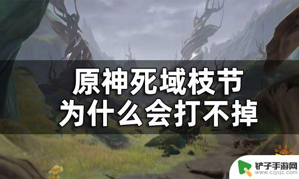 原神怎么清理树枝 原神死域枝节打不掉的原因是什么