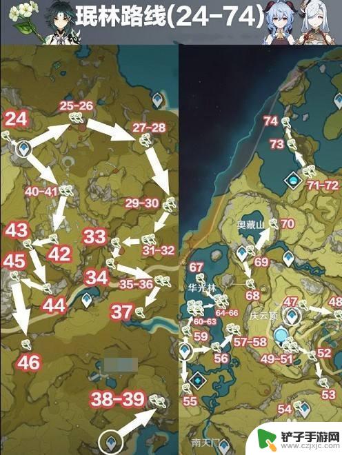 原神清心水 原神清心采集路线图攻略2022最新版本