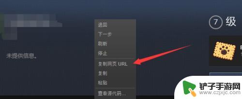 steam怎么查看自己的号 如何查看自己的Steam ID