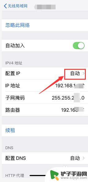 苹果手机怎么改手机ip iPhone手机IP地址修改教程