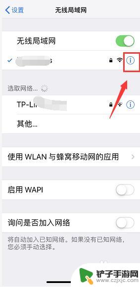 苹果手机怎么改手机ip iPhone手机IP地址修改教程