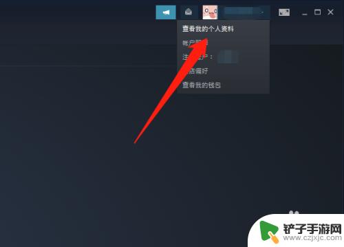 steam怎么查看游戏运行记录 Steam怎么查看最近玩过的游戏列表