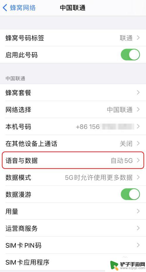 苹果手机5gsa专属流量开了怎么用不了 iPhone如何设置5G网络SA服务