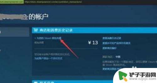 steam上cs怎么充值 Steam钱包如何帮好友充值R6点数