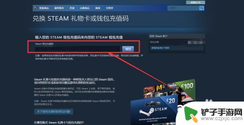 怎么查询自己的steam钱包充值码 steam钱包充值码怎么充值