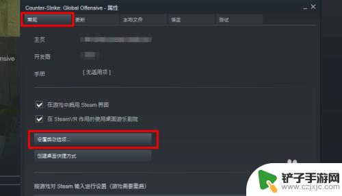 steam上csgo怎么玩 Steam怎么打开并启动CSGO国服