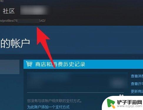 数字id steam 如何查看steam账号的17位数字id