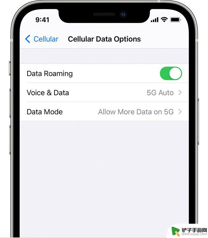 苹果手机设置里没有5g选项 为什么 iPhone 12 没有 5G 选项