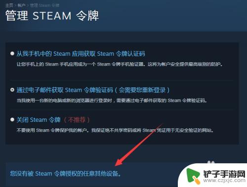 steam如何解除对其他设备的绑定 怎么在Steam上取消设备授权