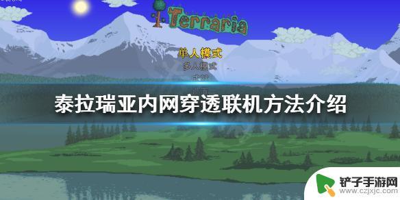 泰拉瑞亚怎么正确联机 泰拉瑞亚局域网联机方法