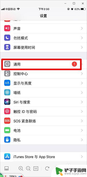 ios在手机哪里查看 查看苹果手机软件版本的方法