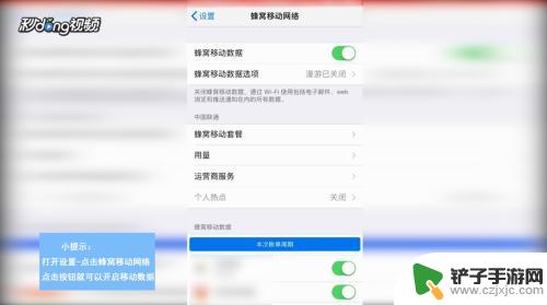 苹果手机的移动数据在哪里打开 苹果手机移动数据功能在哪里