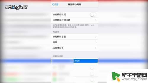 苹果手机的移动数据在哪里打开 苹果手机移动数据功能在哪里