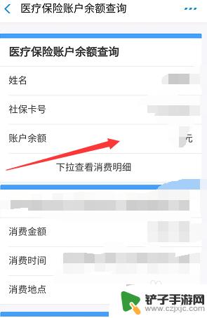 手机医保如何查询余额余额 手机上如何查询医保余额