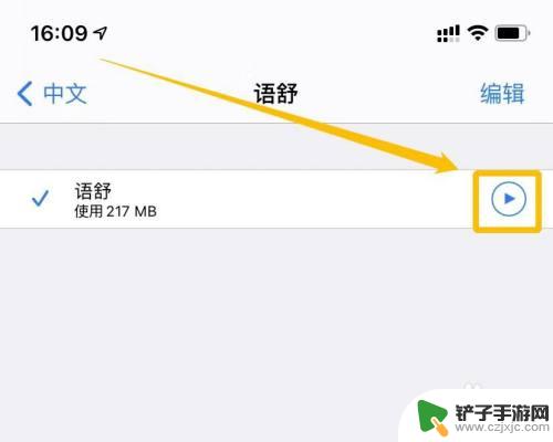 怎么朗读手机里面的文字 iPhone朗读文字声音设置方法