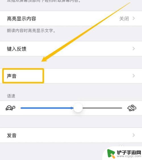 怎么朗读手机里面的文字 iPhone朗读文字声音设置方法