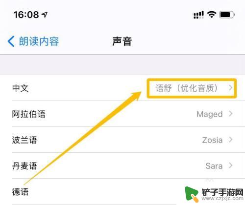 怎么朗读手机里面的文字 iPhone朗读文字声音设置方法