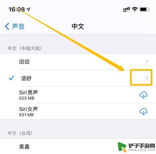 怎么朗读手机里面的文字 iPhone朗读文字声音设置方法