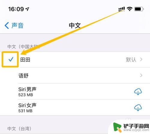 怎么朗读手机里面的文字 iPhone朗读文字声音设置方法