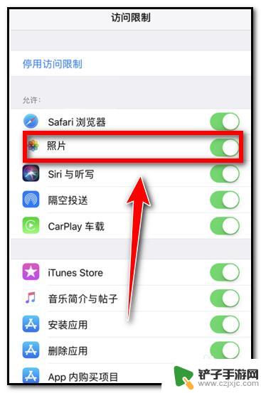 手机设置相机隐私保护怎么设置 苹果手机照片隐私设置无法调整