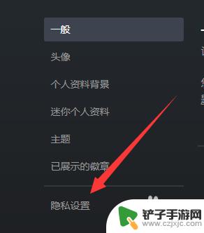 steam怎么设置隐私变成公开 Steam账号隐私怎么公开