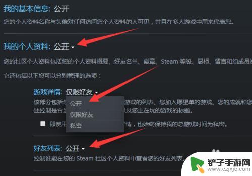 steam怎么设置隐私变成公开 Steam账号隐私怎么公开