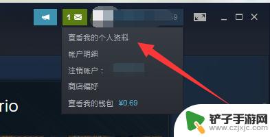 steam怎么设置隐私变成公开 Steam账号隐私怎么公开