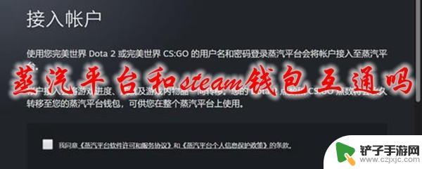 蒸汽平台钱包怎么转成steam钱包 蒸汽平台和Steam钱包可以互通吗