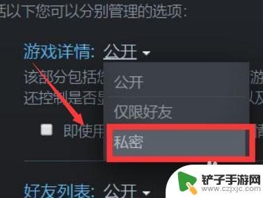 steam隐藏单个游戏 如何在Steam上隐藏自己的游戏状态