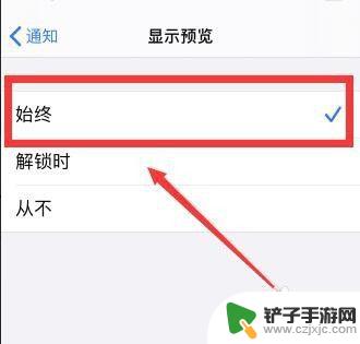 怎么设置手机预览 iPhone通知显示预览信息的设置方法