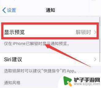 怎么设置手机预览 iPhone通知显示预览信息的设置方法