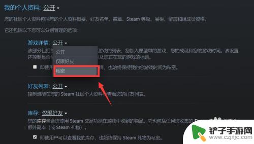 steam怎么设置动态仅自己可见 Steam个人动态如何隐藏