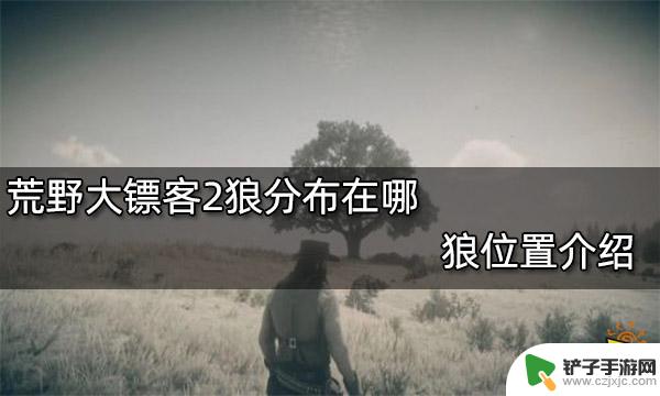 荒野大镖客狼群怎么打 狼在荒野大镖客2中的位置攻略